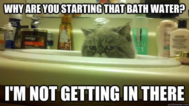 Why are you starting that bath water? I'm not getting in there - Why are you starting that bath water? I'm not getting in there  Sink Cat