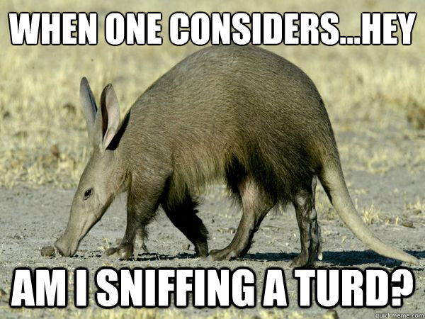 When one considers…HEY am i sniffing a turd?  360 Deep Thoughts Aardvark