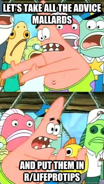 Let's take all the Advice Mallards And put them in R/Lifeprotips  Push it somewhere else Patrick