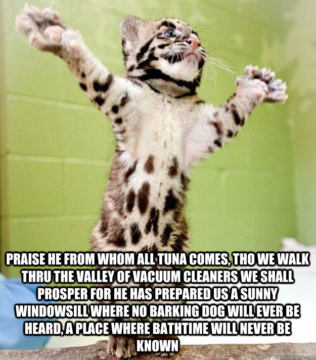 Praise he from whom all tuna comes, tho we walk thru the valley of vacuum cleaners we shall prosper for HE has prepared us a sunny windowsill where no barking dog will ever be heard, a place where bathtime will never be known  