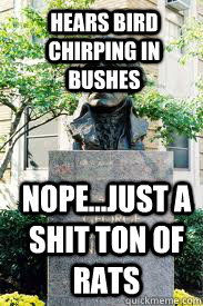 Hears bird chirping in bushes nope...just a shit ton of rats  Ironic GWU