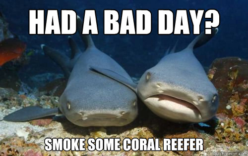 had a bad day? Smoke some coral reefer  Compassionate Shark Friend