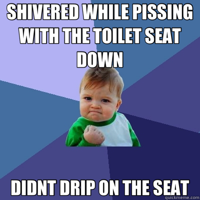 SHIVERED WHILE PISSING WITH THE TOILET SEAT DOWN DIDNT DRIP ON THE SEAT  Success Kid
