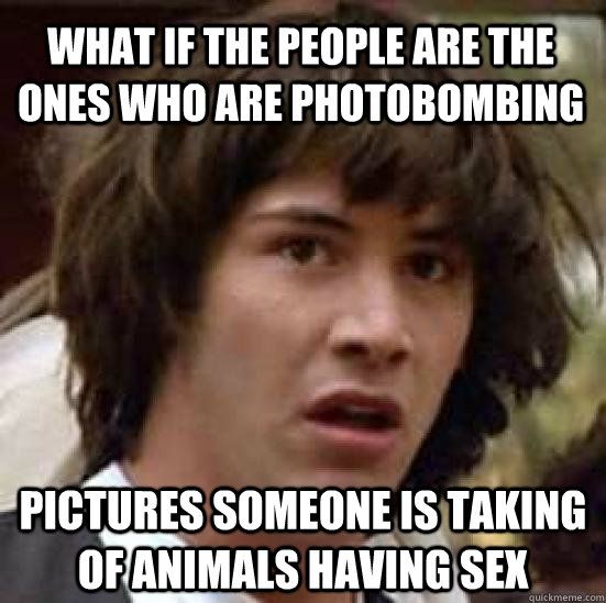 What if the people are the ones who are photobombing  pictures someone is taking of animals having sex - What if the people are the ones who are photobombing  pictures someone is taking of animals having sex  conspiracy keanu