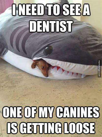 I need to see a dentist. -   Misc