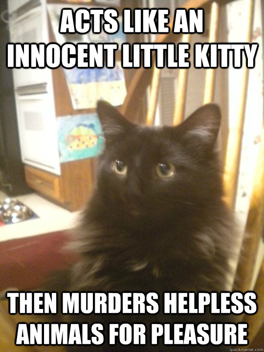 Acts like an innocent little kitty Then murders helpless animals for pleasure  