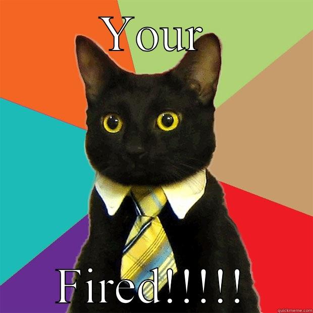 YOUR FIRED!!!!! Business Cat