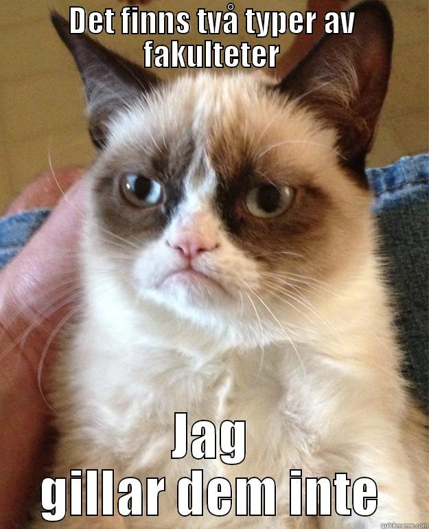 Grumpy cat - DET FINNS TVÅ TYPER AV FAKULTETER JAG GILLAR DEM INTE Grump Cat