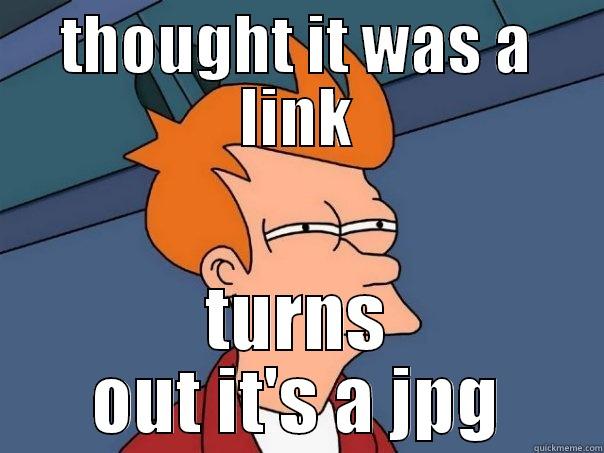 thought it was - THOUGHT IT WAS A LINK TURNS OUT IT'S A JPG Futurama Fry