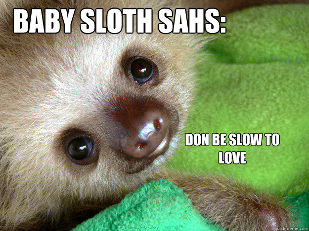 Baby Sloth sahs: Don be slow to love  
