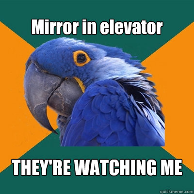 Mirror in elevator THEY'RE WATCHING ME  Paranoid Parrot