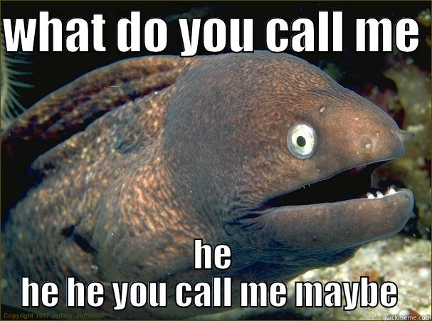 the fish - WHAT DO YOU CALL ME  HE HE HE YOU CALL ME MAYBE  Bad Joke Eel