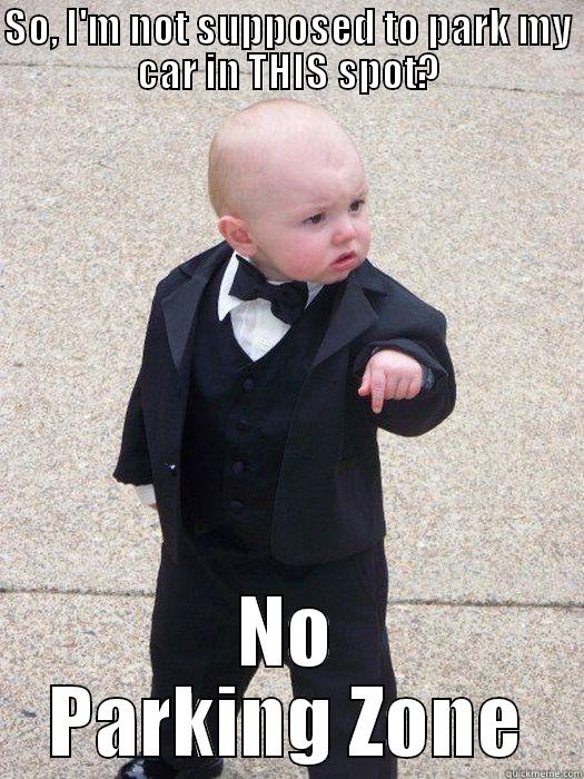 SO, I'M NOT SUPPOSED TO PARK MY CAR IN THIS SPOT? NO PARKING ZONE Baby Godfather