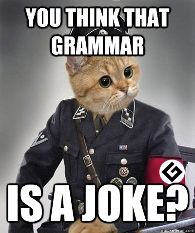 You think that grammar  is a joke? - You think that grammar  is a joke?  grammar nazi cat