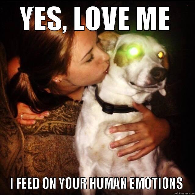 YES, LOVE ME I FEED ON YOUR HUMAN EMOTIONS Misc