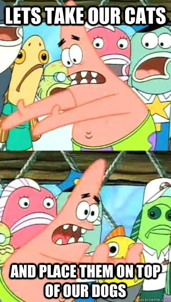 Lets take our cats  and place them on top of our dogs  Push it somewhere else Patrick
