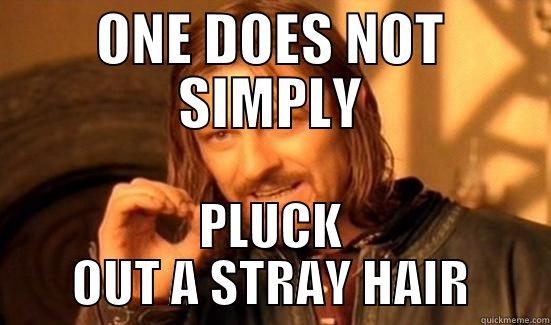 ONE DOES NOT SIMPLY PLUCK OUT A STRAY HAIR Boromir