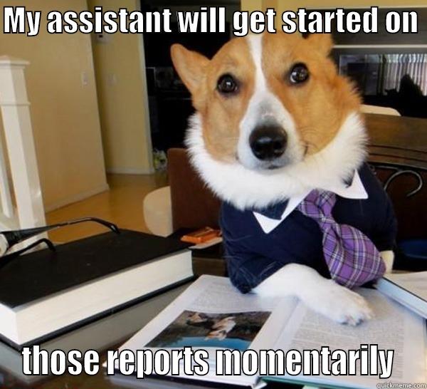 MY ASSISTANT WILL GET STARTED ON  THOSE REPORTS MOMENTARILY  Lawyer Dog