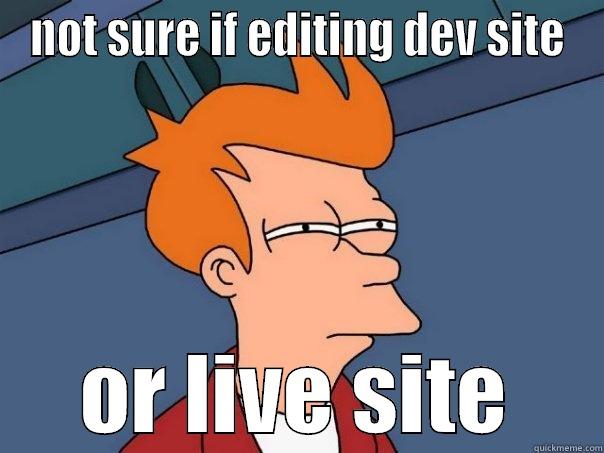 NOT SURE IF EDITING DEV SITE OR LIVE SITE Futurama Fry