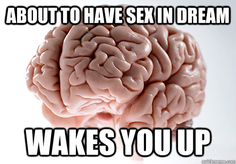 ABOUT TO HAVE SEX IN DREAM WAKES YOU UP  Scumbag Brain