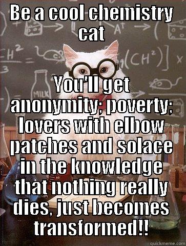 BE A COOL CHEMISTRY CAT YOU'LL GET ANONYMITY; POVERTY; LOVERS WITH ELBOW PATCHES AND SOLACE IN THE KNOWLEDGE THAT NOTHING REALLY DIES, JUST BECOMES TRANSFORMED!! Science Cat