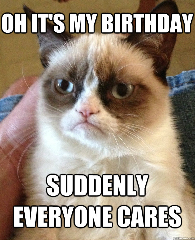 oh it's my birthday suddenly everyone cares  Grumpy Cat
