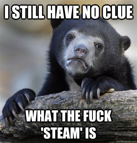 I still have no clue What the fuck 'steam' is  Confession Bear
