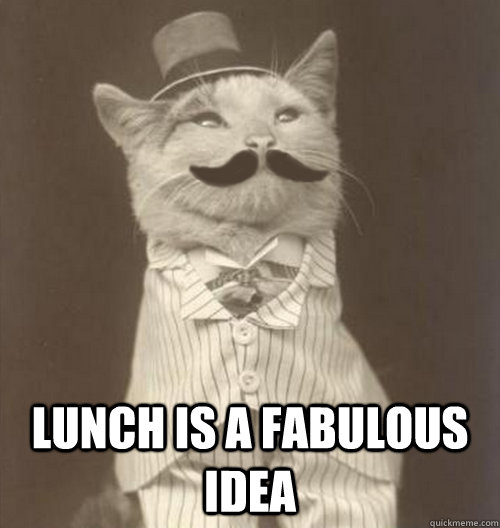  Lunch is a fabulous idea  Original Business Cat