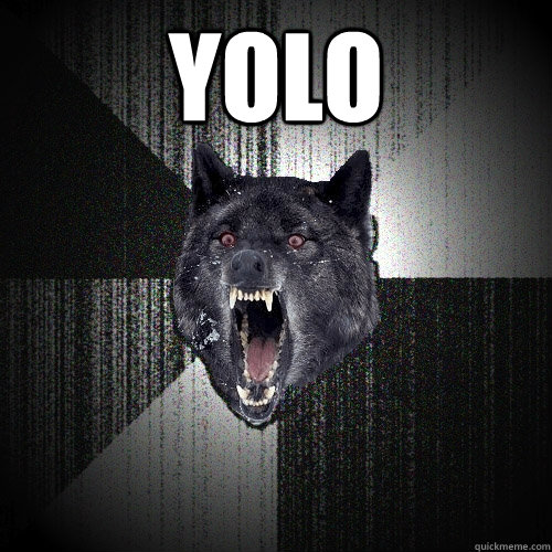 YOLO   Insanity Wolf