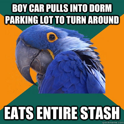 Boy car pulls into dorm parking lot to turn around Eats entire stash  Paranoid Parrot