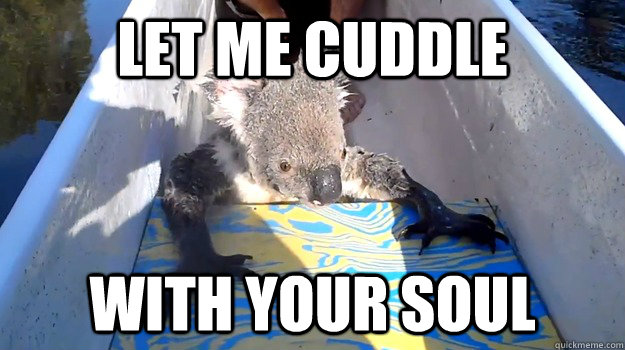 let me cuddle with your soul - let me cuddle with your soul  Cute Cuddly Koala