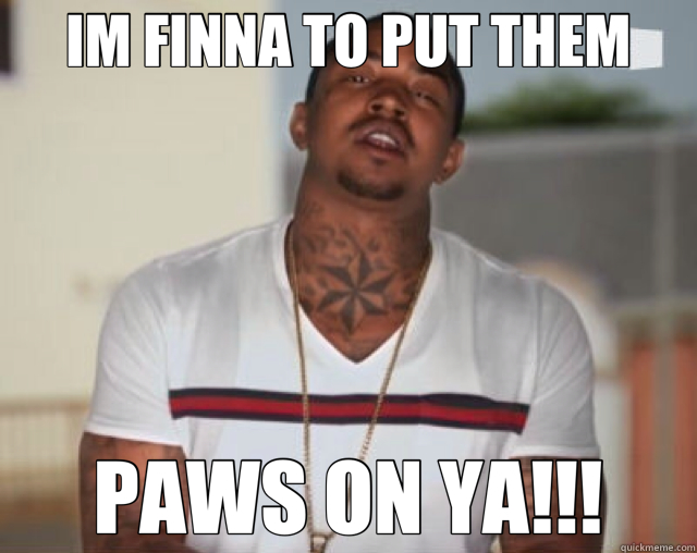 IM FINNA TO PUT THEM PAWS ON YA!!!  