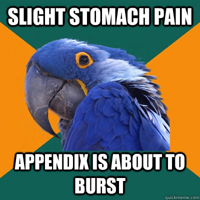 Slight stomach pain appendix is about to burst  Paranoid Parrot