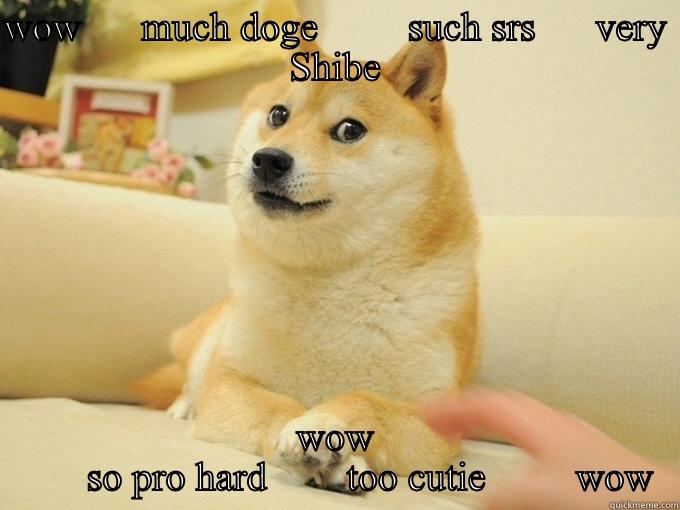 WOW      MUCH DOGE         SUCH SRS      VERY SHIBE WOW        SO PRO HARD        TOO CUTIE         WOW Misc
