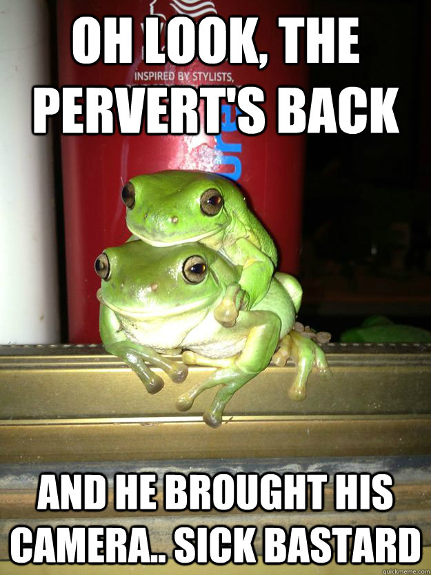 oh look, the pervert's back and he brought his camera.. sick bastard - oh look, the pervert's back and he brought his camera.. sick bastard  Coupling Frogs