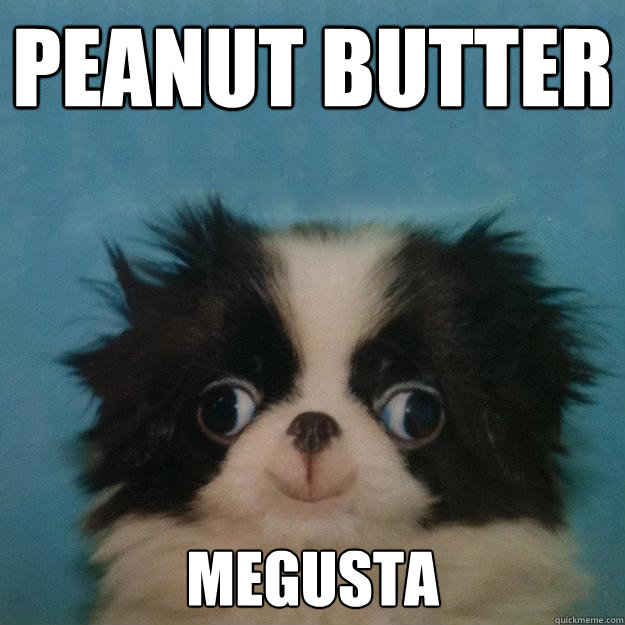 Peanut Butter MEGUSTA  