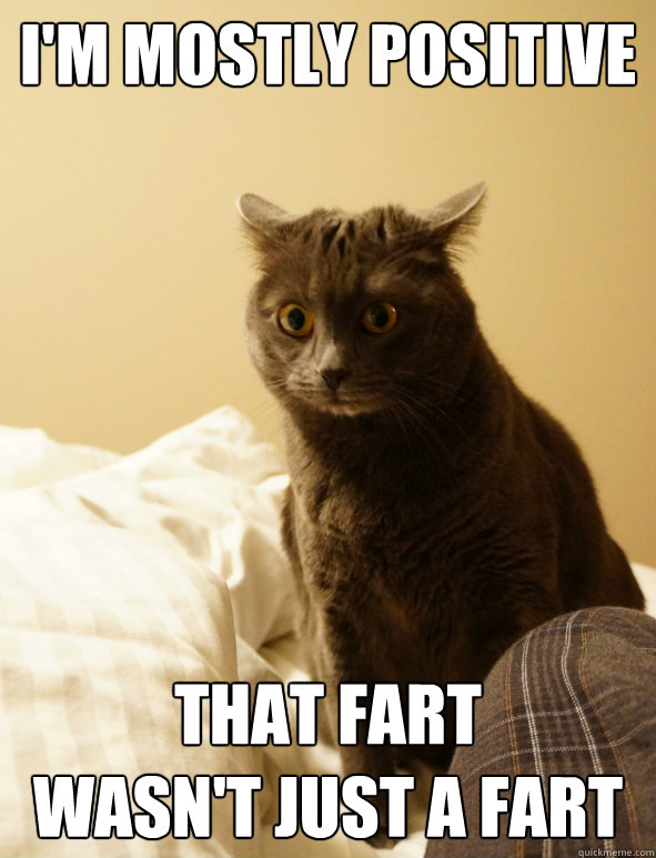 I'M MOSTLY POSITIVE THAT FART
WASN'T JUST A FART - I'M MOSTLY POSITIVE THAT FART
WASN'T JUST A FART  Sudden Realization Cat