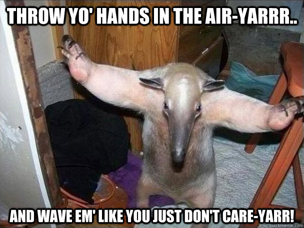 Throw yo' hands in the air-yarrr.. And wave em' like you just don't care-yarr!  I got this