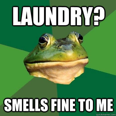 Laundry? Smells fine to me  Foul Bachelor Frog