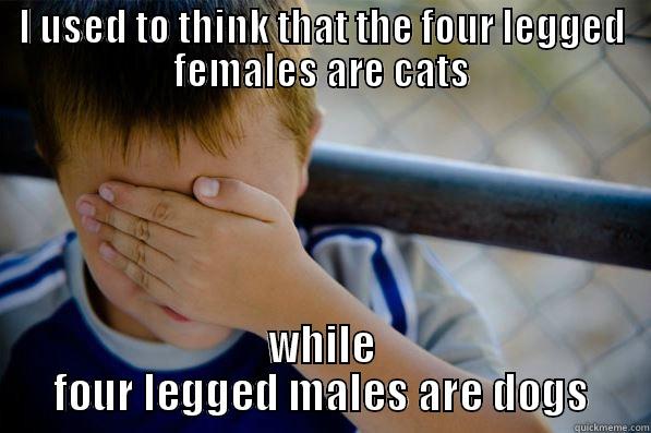 I USED TO THINK THAT THE FOUR LEGGED FEMALES ARE CATS WHILE FOUR LEGGED MALES ARE DOGS Confession kid