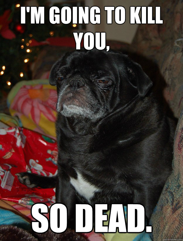 I'm going to kill you, So Dead.  Angry Pug
