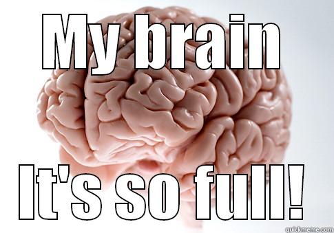 MY BRAIN IT'S SO FULL! Scumbag Brain