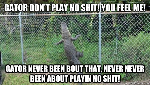Gator don’t play no shit! You feel me! Gator never been bout that, never never been about playin no shit! - Gator don’t play no shit! You feel me! Gator never been bout that, never never been about playin no shit!  Gator Dont Play No Shit!