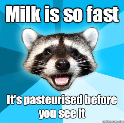 Milk is so fast It's pasteurised before you see it  Lame Pun Coon