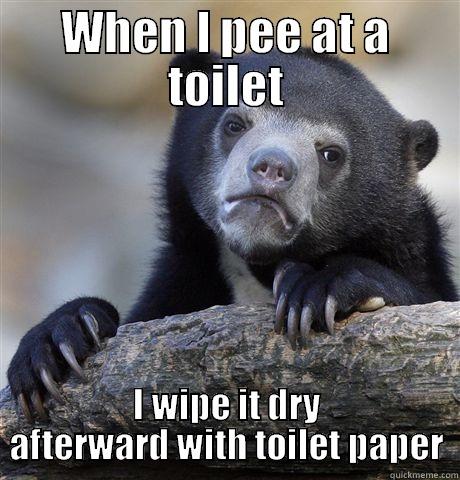 WHEN I PEE AT A TOILET I WIPE IT DRY AFTERWARD WITH TOILET PAPER Confession Bear
