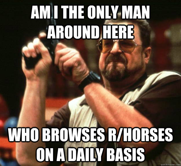 am I the only man around here who browses r/horses on a daily basis  Angry Walter