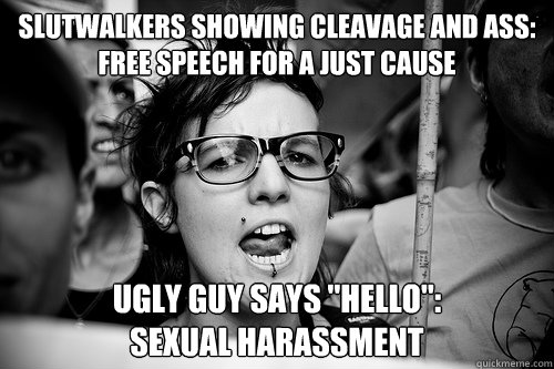 slutwalkers showing cleavage and ass: 
free speech for a just cause ugly guy says 