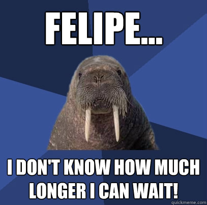 Felipe... I DON'T KNOW HOW MUCH LONGER I CAN WAIT!  Web Developer Walrus
