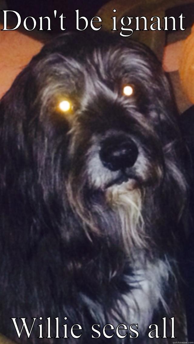 DON'T BE IGNANT  WILLIE SEES ALL Misc