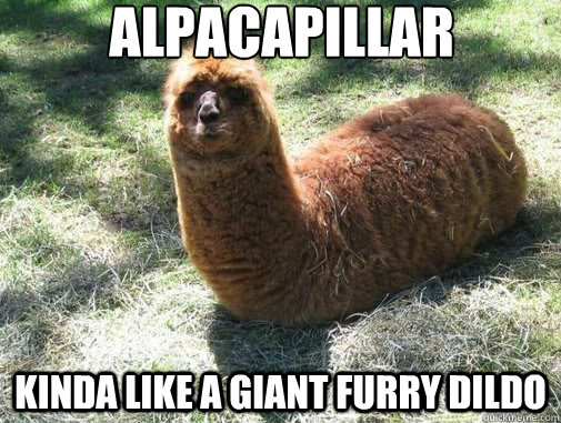 alpacapillar Kinda like a giant furry dildo  Alpacapillar